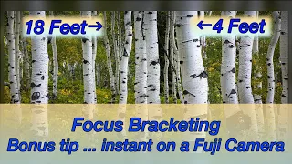 Focus bracketing ... includes 1 super tip for Fuji shooters!