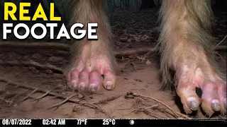 Chilling Trail Cam Footage That Will Haunt You