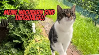 Katze geht beim Nachbarn fremd..