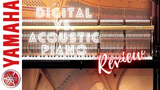Acoustic Vs. Digital piano - Which One Is Better For You?