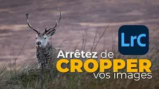 Arrêtez de CROPPER vos images