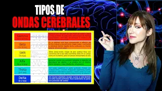 Las 5 ONDAS CEREBRALES y sus FUNCIONES 🔮 | La Chica Cuántica