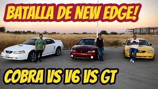 Batalla de Mustangs! Cobra Vs. V6 y GT! New Edge Mania | HugoValo Autos