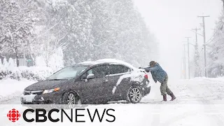 Parts of B.C. dealing with major snowfall, closed schools, difficult travel