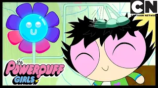 Technology War | Powerpuff Girls | Cartoon Network