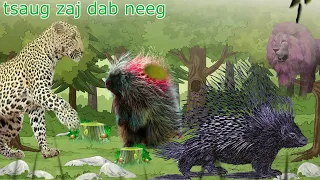 dab neeg keeb kwm ntawm tu tsaug vim li ho tuaj ib ce koob yog vim li ca 2023    11     2