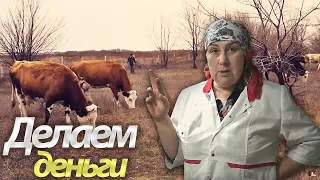 КАК СДЕЛАТЬ ДЕНЬГИ на КОРОВАХ? откуда берём дополнительный доход?