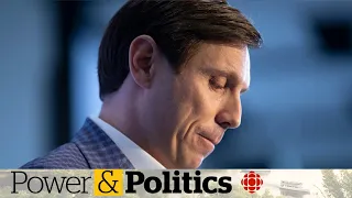 Patrick Brown blames ouster on Conservative establishment