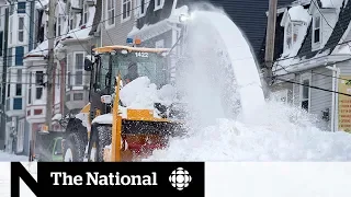 The challenges of cleaning up after the N.L. storm