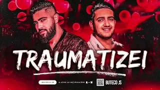 🎵 TRAUMATIZEI  | HENRIQUE E JULIANO