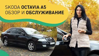 Skoda Octavia A5: обзор и особенности обслуживания.Крутой седан до 10 тыс уе или мешок с проблемами?