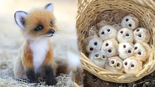 Cute Baby Animals Videos Compilation | Funny and Cute Moment of the Animals #29 - Cutest Animals