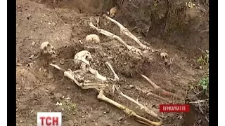 На Прикарпатті пошуковці викопали на подвір’ї лікарні рештки 175 людей