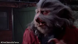 "The Boy Who Cried Werewolf" (1973) Escena de la metamorfosis #CineClásicoDeTerror