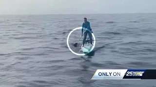 Caught on video: Woman paddleboarding to Lake Worth has close encounter with hammerhead shark