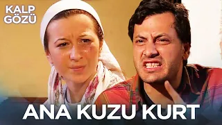 Ana Kuzu Kurt - Kalp Gözü