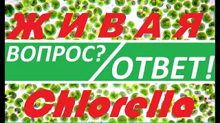 Альготек - технология обмана. Часть 2.