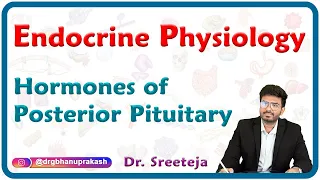 Hormones of Posterior Pituitary : Endocrine physiology USMLE Step 1