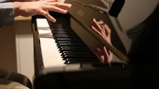 Liszt - Liebestraum S. 541 No. 3 (Love Dream - Rêve d'amour)