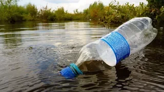 Catching CARP on a BOTTLE