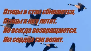 Птицы улетают.