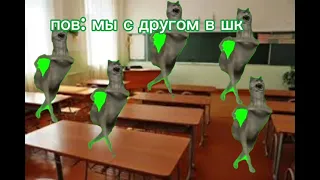 я с другом в шк #мемныекоты #shorts