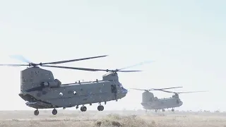 Talisman Sabre 21 Boeing CH-47 Chinook (B-Roll)