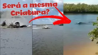 Mais uma  criatura bizarra faz aparição, Veja a semelhança entre ela e a do Rio das mortes