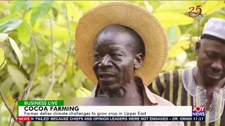 Cocoa Farming: Farmer defies climate challenges to grow crop in Upper East (4-5-20)