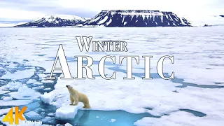Winter The Arctic 4K Ultra HD • Stunning Footage Arctic, Scenic Relaxation Film with Calming Music.