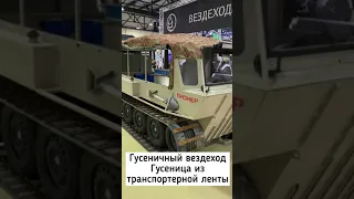 Выставка #вездеходер2021 Гусеничный вездеход Пионер #shorts