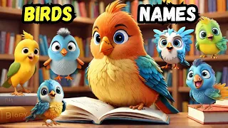 Birds names | english vocabulary |for kids learning | names of the birds