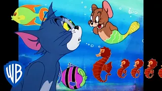 Tom y Jerry en Latino | Aventuras submarinas 🦈 | WB Kids