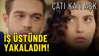 Ayşen Kurcalıyor!  -  Çatı Katı Aşk  11.Bölüm