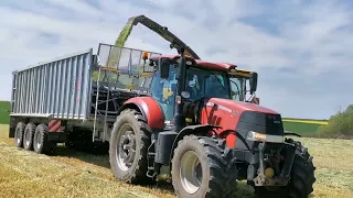 Senáže 2023 Raž NEW HOLLAND FR550