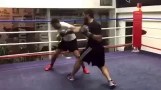 Highlights - Sparring Boxing - Bruno vs William