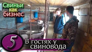 ГЛУБОКАЯ ПОДСТИЛКА ИЛИ ДЕРЕВЯННЫЕ ПОЛЫ В САРАЕ