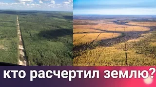 Тунгусская комета. Странные линии по всей Земле.