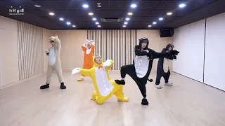 [MIRRORED] TXT - Cat & Dog (Dance Practice) (Animal ver.)