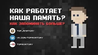 Как работает наша память? | Как запоминать больше?