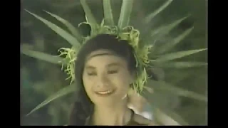 Miss South Pacific Pageant 1993:  'The Contestants'