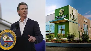 Newsom, Panera owner refute claims of special exemption to wage law