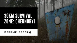 Игра 30km survival zone Chernobyl или Максимильяно и прогулка по лесу