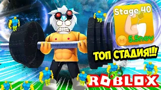 СУПЕР КАЧОК КУПИЛ ПОСЛЕДНЮЮ 40 СТАДИЮ И ПРОШЕЛ ВСЮ ИГРУ ЗА 5 МИНУТ! ROBLOX Lifting Titans