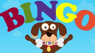 Bingo | Bingo was his name o | Nursery Rhymes And Kids Songs | Kids Tv Nursery Rhymes