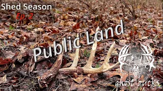Shed Hunting 2022 |Ep.2 of 4| Public Land Shed Hunting and Scouting!