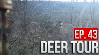 WE MESSED UP! Bucks in Range, Ohio Public Land - DEER TOUR E43