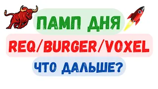 🚀 Памп дня - REQ, BURGER, VOXEL. Дальнейший прогноз!