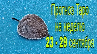 Прогноз Таро на неделю 23 -29 сентября. Для каждого знака зодиака.