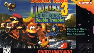 Donkey Kong Country 3: Dixie Kong's Double Trouble! (SNES) Longplay [137]